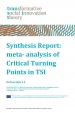 Deliverable 5.4 : Synthesis report : meta-analysis of critial turning points in TSI